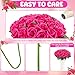 Hoemwarm 36 Pcs Hot Pink Artificial Roses with Long Stems, Fake Silk Rose Artificial Flowers Bulk for Bridal Wedding Bouquet Centerpiece Ball Arrangement Party Decor