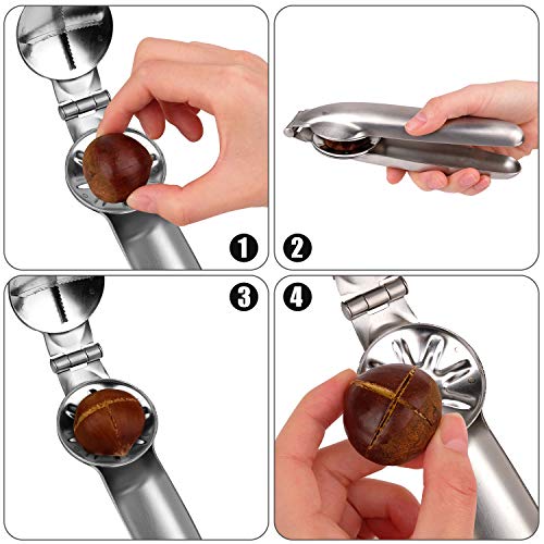 Anwenk Nutcracker Chestnut Clip Peeler Nut cracker Pecan Walnut Plier Opener 304 Stainless Steel Kitchen Tools with 2 Picks - Image 5