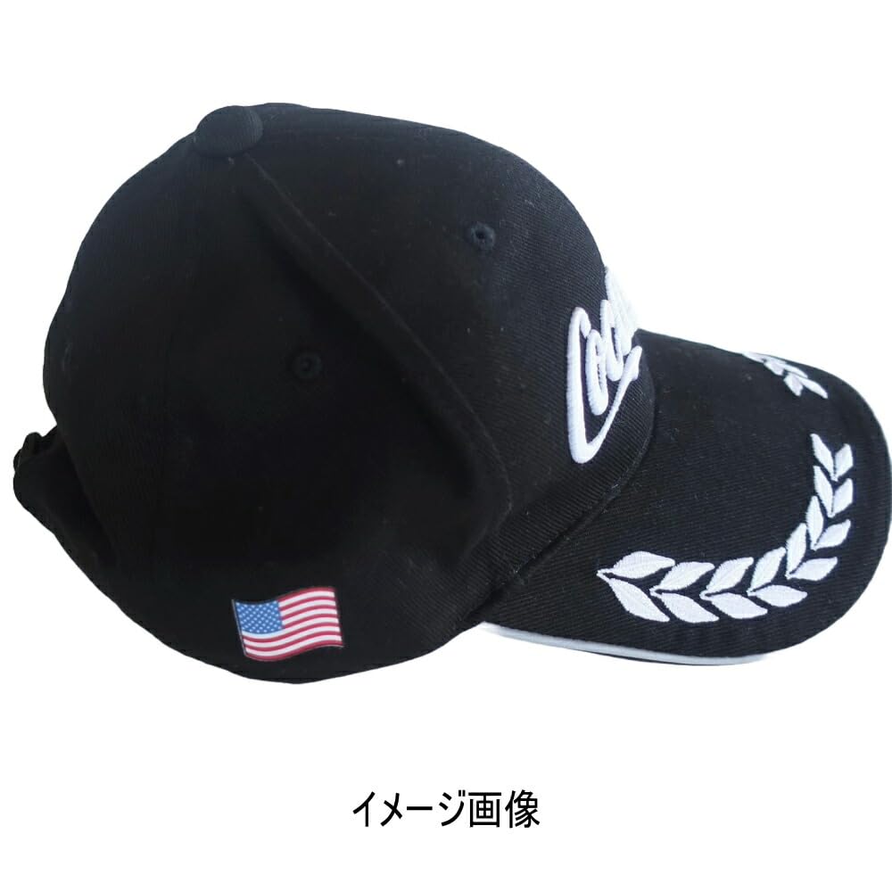 Amazon.co.jp: TOSPA アイロンプリントシート 日の丸 日本 国旗柄