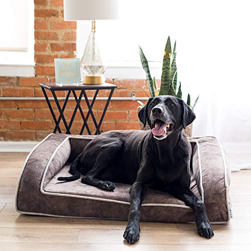 Petmate La-Z-Boy Duke Orthopedic Sofa Dog Bed, Mocha, 37" X 28" #TOP1