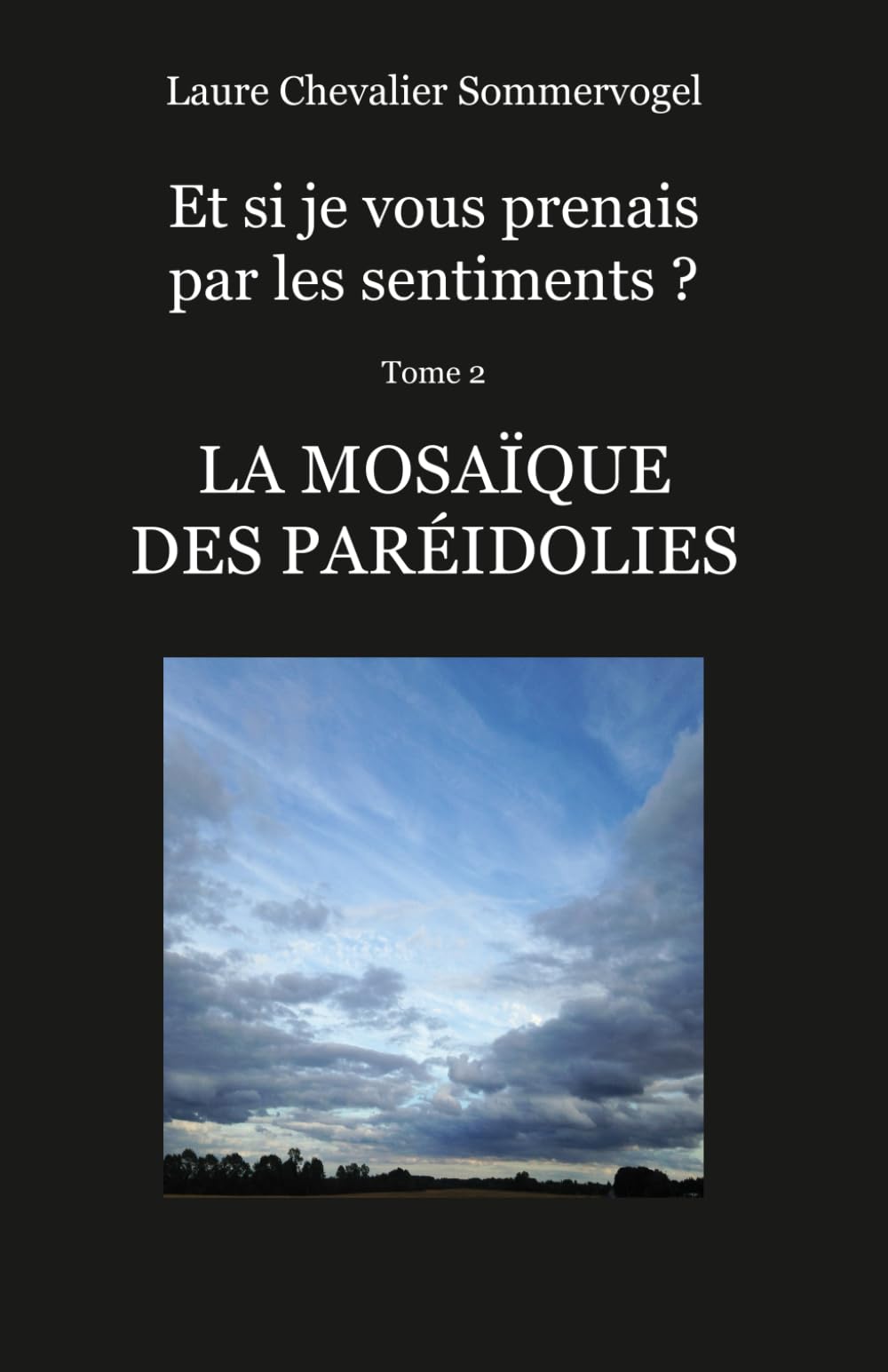 La Mosaïque des Paréidolies (Et si je vous prenais par les sentiments ?)