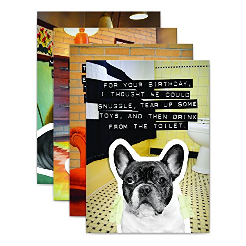 From Frank Birthday Greeting Card Pack with Kraft Envelopes, 8 Count