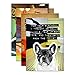 From Frank Birthday Greeting Card Pack with Kraft Envelopes, 8 Count