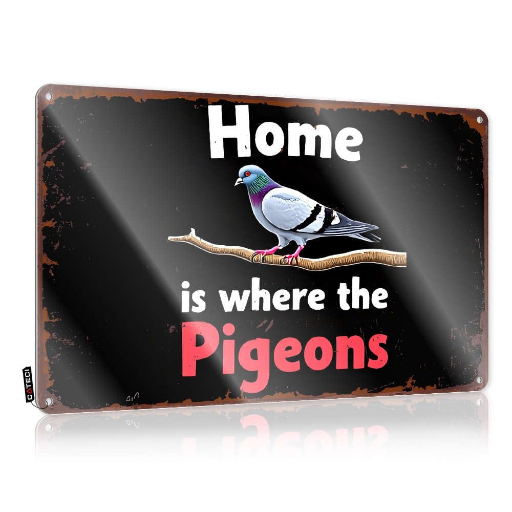 Fzfn Colour Retro Wall Art Halloween Ready To Hang - Home Is Where The Pigeons. Nice For Road(30X40cm)