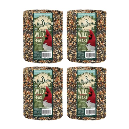 Image of Mr. Bird WildBird Feast Cylinder, 4-Pack, 4 lbs