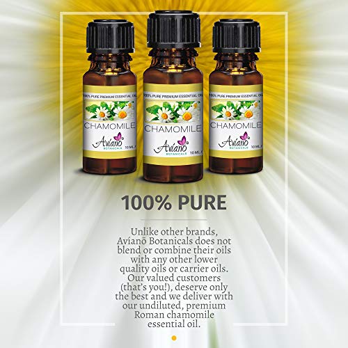 Roman Chamomile Essential Oil Ultra-Premium 100% Pure Therapeutic Grade - 10ml By Avíanō Botanicals - Thumbnail 6