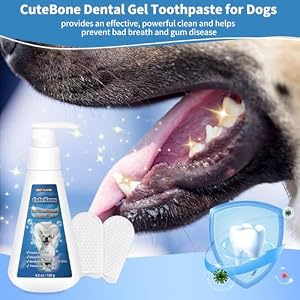 CuteBone Beef-Flavored Enzymatic Dog Toothpaste 4.3oz/120g with 10 Count Pet Dental Finger Dry Wipes Dental Care for Fresh Breath & Healthy Gums CuteBone Beef-Flavored Enzymatic Dog Toothpaste 4.3oz/120g with 10 Count Pet Dental Finger Dry Wipes Dental Care for Fresh Breath & Healthy Gums