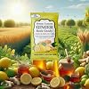 GT Honey Lemon Ginger Rock Candy, 4.41 Ounce Bag, 2 Pack