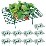 GOONMILL 10 Pack Strawberry Plant Support, Strawberry Planting Stand, Keeping Strawberry Plants Clean, Strawberry Growing Racks, Strawberry Growing Frame