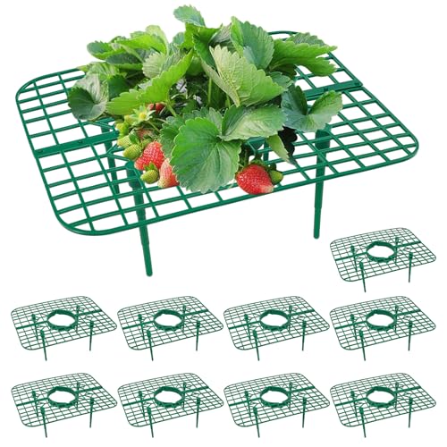 GOONMILL 10 Pack Strawberry Plant Support, Strawberry Planting Stand, Keeping Strawberry Plants...