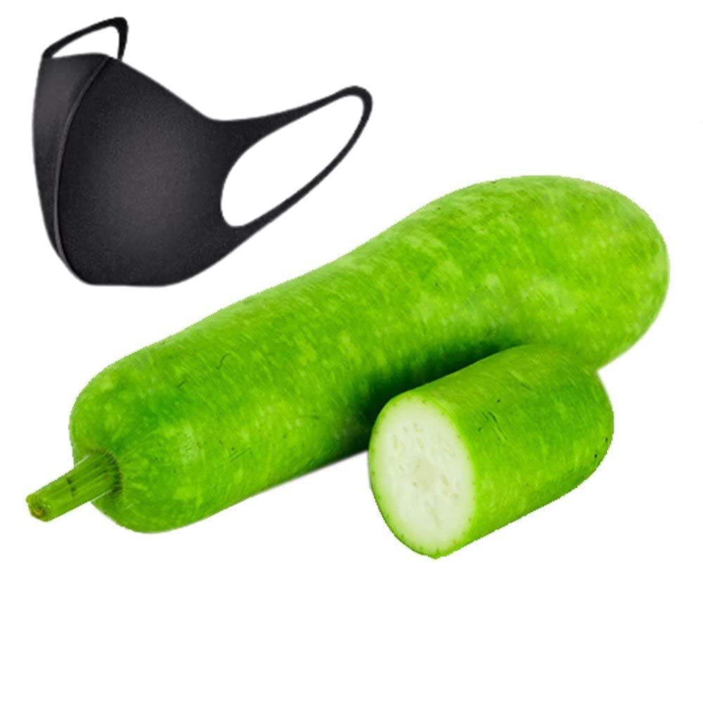 20 Long Bottle Gourd Seeds Seeds White-Flowered Gourd Squash Lauki Doodhi Seeds Non-GMO + Free Bandana Face mask