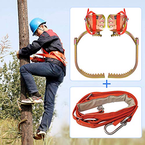 Ramponi Tree Climbing 350model in Acciaio con Cintura di Sicurezza