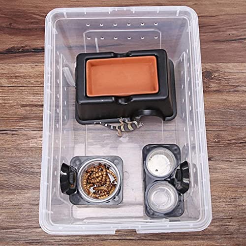 U/D Zuig Mini Wormschotel Reptiel Gecko Ledge Feeder Hoek Ruimtebesparing 2 Stks - Afbeelding 7