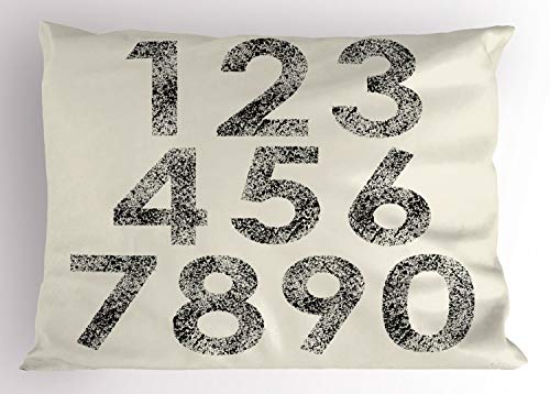 Ambesonne Number Pillow Sham, Grunge Mathematical in Murky Dotwork Tattoo Tones Digital Computer Art, Decorative Standard Size Printed Pillowcase, 26