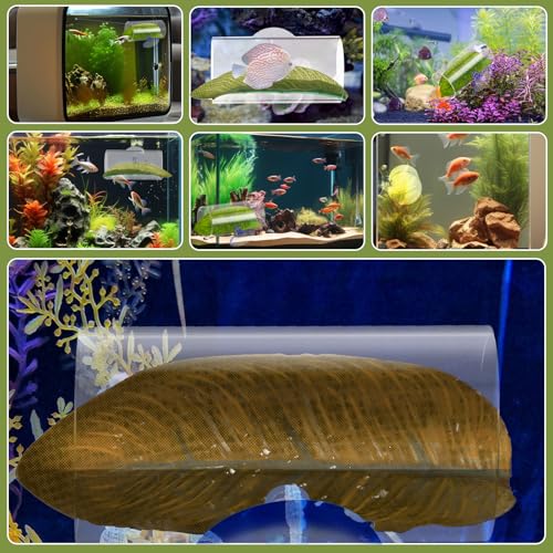 Image of Betta Fish Acrylic Tube Tunnel 1 Pack Betta Fish Shelter Hideaway Fishing Leaf Pad Simulating The Natural Habitat Toys Decor Hideout for Shrimp Cichlid Hiding Breeding