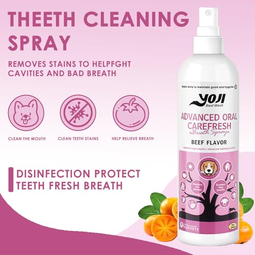 200ml Zahnpflege Spray für Hunde & Katzen,beugt Zahnstein & Mundgeruch,Für frischen Atem,effektive Zahnreinigung,einfach anzuwenden ohne Bürste
