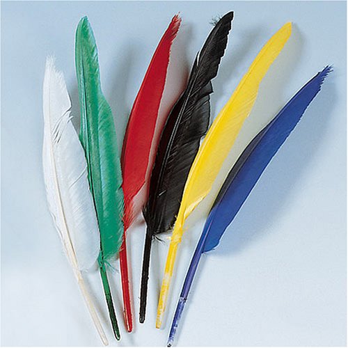 Preisvergleich Produktbild KnorrPrandell 2543807 Indianerfedern, 25 - 30 cm, bunt