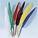 Produktbild KnorrPrandell 2543807 Indianerfedern, 25 - 30 cm, bunt