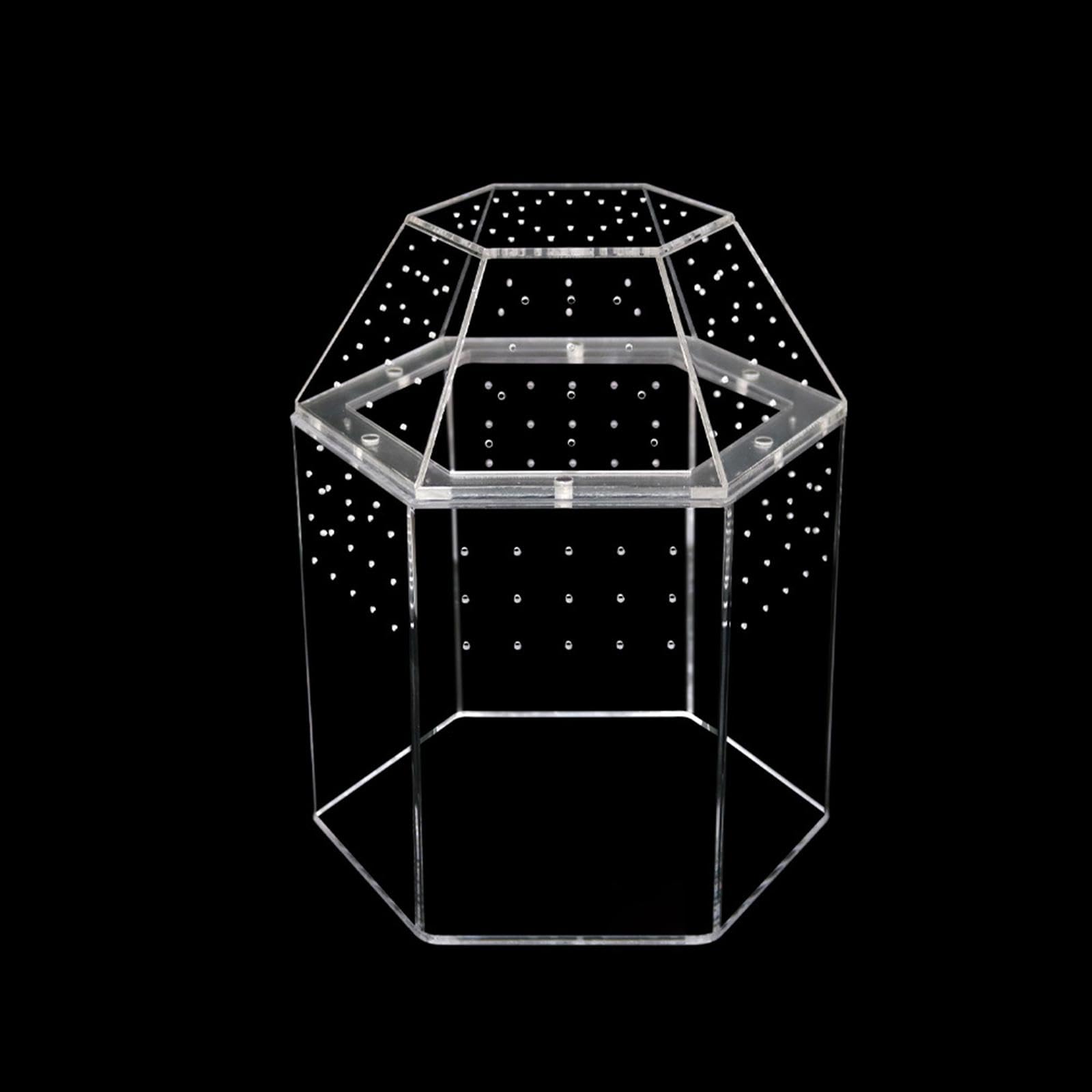 Reptilien Terrarium mit Mehrlochbelüftung, Kleinem Acryl Futternapf, Transparentem Aquarium Und Zubehör – Ideal für