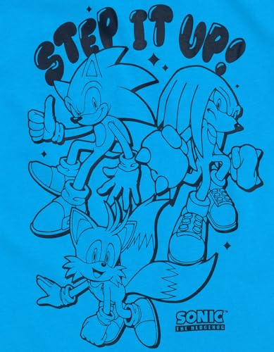 Image of SEGA Sonic the Hedgehog Athletic T-Shirt and Mesh Shorts Outfit Set Toddler to Big Kid Sizes (2T - 18-20)