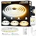 PAUTIX Smart WIFI Tira LED COB CCT 5M,Regulable CCT 2700K-6500K Tira LED COB, Inteligentes Funciona con Alexa y Google Asistente para Gabinete de Cocina,Habitación,TV