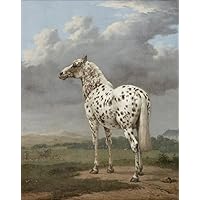 油絵　専用　大好きな馬に乗る鳥 油絵 専用 大好きな馬に乗る鳥