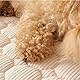 AQCQDQ Hundedecke Sofa, Bettschlange Hundedecke Sofa mit Rand, Hundedecke Katzendecke Waschbar, rutschfest Hundekissen, für Boden, Bett, Sofa, Auto Kofferraum (Beige,75 * 75 cm)