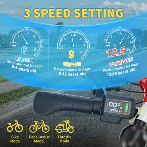 NAIZEA Electric Kids Bike – 16 inch Kids Trike for Boys