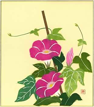 51N4r5HLDCL._AC_UF350,