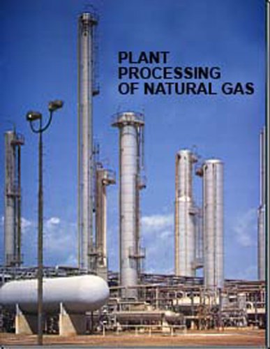 Plant Processing of Natural Gas