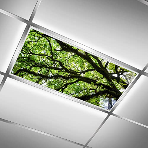 Image of Fluorescent Light Covers for Classroom Office - Eliminate Harsh Glare Causing Eyestrain and Headaches. School-Office-Indoor Ceiling Lamp DecorationGiant Trees