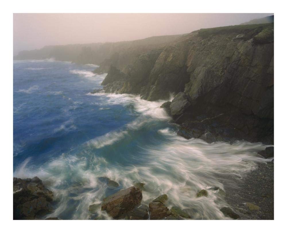 Global Gallery Coastline in Fog, Cape Breton Island, Nova Scotia, Canada-Paper Art-22"x18"