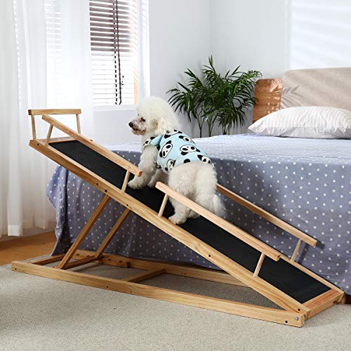 ramp for blind dog