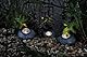 Pontec 87585 PondoStar LED Rocklight Set 3 - schwarzes, attraktives Felsleuchten-Set in zeitloser Schieferoptik / Unterwasserbeleuchtung