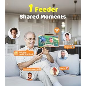 Bird Feeder with Camera | AI Recognition, Solar-Charged Video Bird Feeder Camera, Auto-Capture Video & Bird Arrival Alerts | Ideal Gift for Bird Enthusiasts | Yellow Bird Feeder with Camera AI Recognition Solar Charged Video Bird Feeder Camera Auto Capture Video Bird Arrival Alerts Ideal Gift for Bird Enthusiasts Yellow