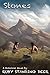 Stones (Shining Light's Saga Book 3)