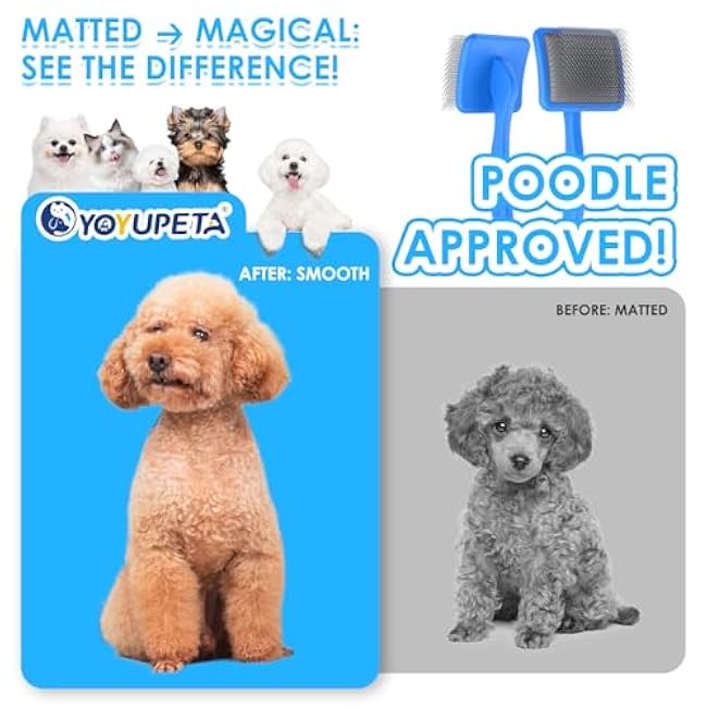 Large Slicker Brush for Dogs - 3PC Pet Grooming Kit - Undercoat Rake & Stainless Comb | Long Pins Remove Mats on Poodles, Golden, Labradoodles | Thick Coat Deshedder for Dogs, Cats, Blue-s80QHP8p