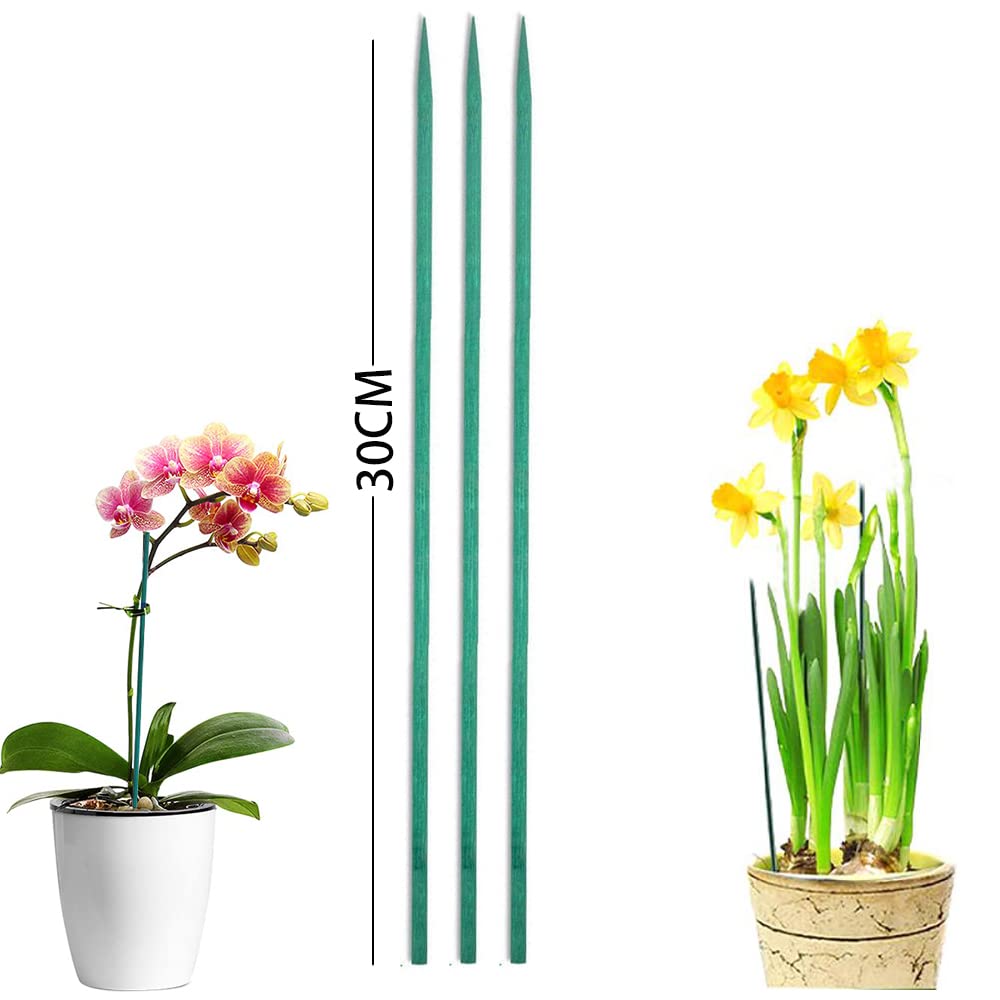 Patyki do wspierania roślin - 30 szt. 30 cm odporne na warunki atmosferyczne patyki do roślin patyki kwiatowe patyki ogrodowe do wspierania roślin z gatunku grochu