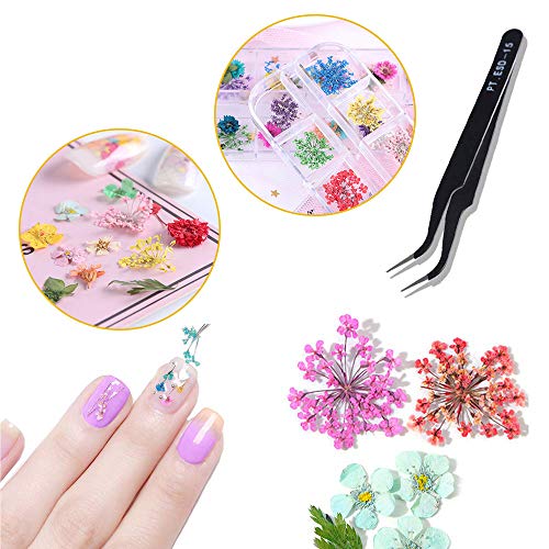 Gedroogde bloemen voor nagels - 2 dozen (36 stuks) Gedroogde bloemen voor hars ambachten, 24 bloemen en 12 bladeren 3d… - Afbeelding 6