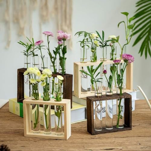 Image of ecofynd Test Tube Planter with Wooden Holder, Air Planter Glass Vase Holder with 4 Test Tube, Home Decor Hydroponic Plant Stand for Table Top, Desktop, Living Room, Office (TTP003)