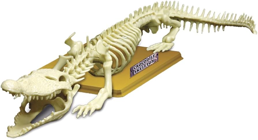 Amazon | Kenko 理化学系知育玩具 EASTCOLIGHT 組み立て クロコダイル