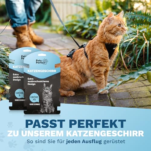 PETS PERFECT SCHLEPPLEINE 5M – Lange Leine Hund für Training & Freilauf – Schleppleine Kleine Hunde extra leicht & robust für Hunde und Katzen – Schwarz