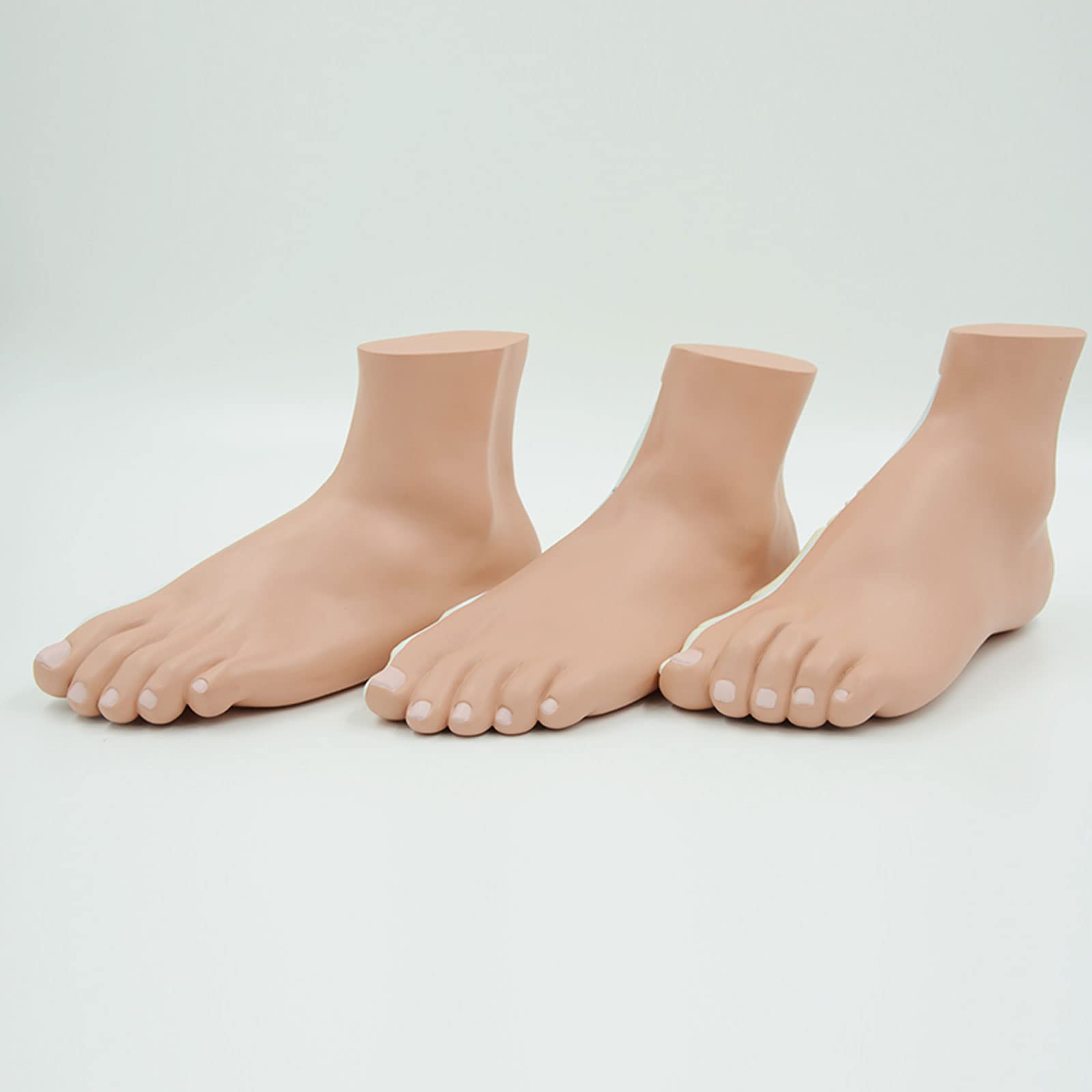 Modèles Anatomiques De Pied Humain, Pied De Pied Arqué De Pied Plat Pédestre Enseignement Médical Matériel Pédagogique Squelette Anatomie