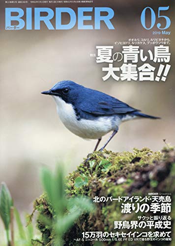 楽天 無料電子書籍 BIRDER(バーダー)2019年5月号 夏の青い鳥 大集合!! バイ