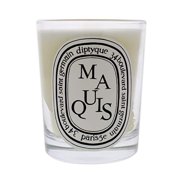 Diptyque scented candle maquis 190g65oz  urban country home decor