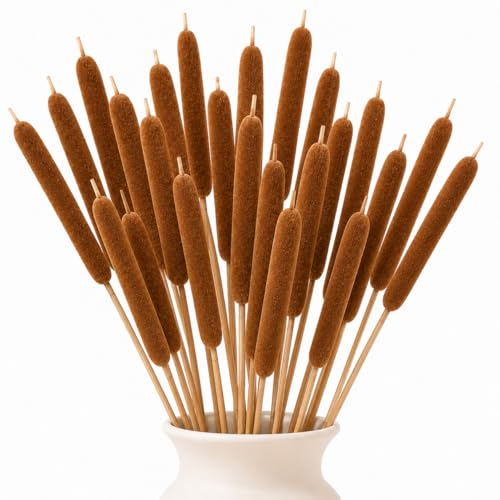 RAINFLOW Natural Dried Cattails 13.8 Inch Cattail Dried Flowers for Decor