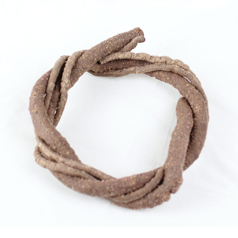 Reptiles Planet - Giungla Liana - Liana Artificiale - Decorazione per Terrario - 1 m