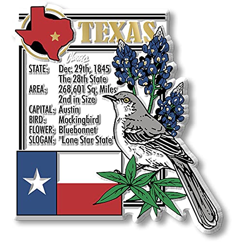 Set de 6 imanes decorativos de Texas miniatura 2