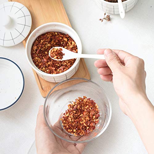 CMBSSTFC Barattoli per condimenti, Contenitore per Sale da Cucina, Set di Bottiglie per condimenti Contenitore per Zucchero in Ceramica Scatola per condimenti con Coperchio e Cucchiaio Pentola per