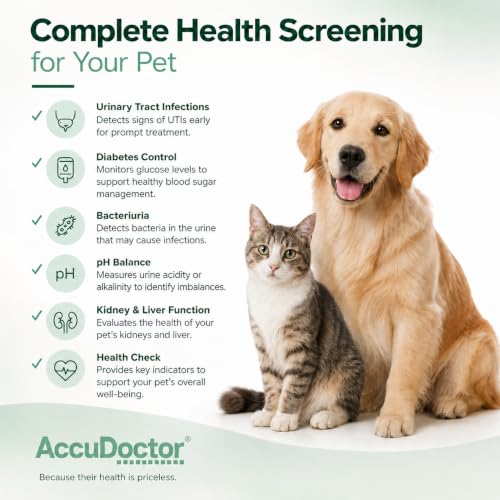AccuDoctor 100 Urin-Teststreifen Hund & Katze – Urintest für Tiere, pH Teststreifen Urin Hund Urintestreifen Schnelltest – Urin Sticks Hund Katze, Teststreifen Urin Tier, Hund Urintest Niere Zuhause